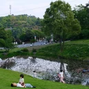 天坪山云林天乡景区 - 重庆市旅游 缩略图 8