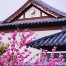 长春市长乐宫 - 长春市旅游 缩略图 4