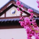 长春市长乐宫 - 长春市旅游 缩略图 5