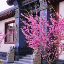 长春市长乐宫 - 长春市旅游 缩略图 7