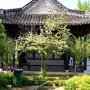 琼花观 - 扬州市旅游 缩略图 9