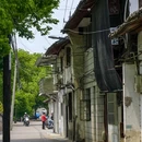 公庆街 - 嘉兴市旅游 缩略图 9