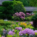观山湖公园 - 贵阳市旅游 缩略图 3
