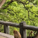 连云港市花果山风景区 - 连云港市旅游 缩略图 5