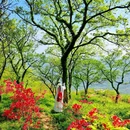 连云港市花果山风景区 - 连云港市旅游 缩略图 4