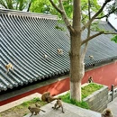 连云港市花果山风景区 - 连云港市旅游 缩略图 3
