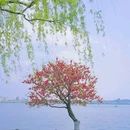 西湖风景名胜区 - 杭州市旅游 缩略图 4