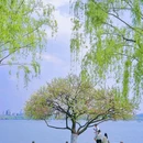 西湖风景名胜区 - 杭州市旅游 缩略图 1