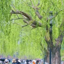 西湖风景名胜区 - 杭州市旅游 缩略图 8