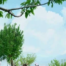 北京世界公园 - 北京市旅游 缩略图 3