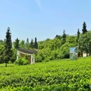定心茶园停车场 - 重庆市旅游 缩略图 1