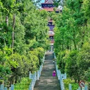 长堤杉影 - 武汉旅游 缩略图 3
