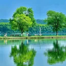 长堤杉影 - 武汉旅游 缩略图 8