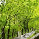 少华山国家森林公园石门峡 - 渭南市旅游 缩略图 8