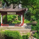 杭州西湖 - 杭州市旅游 缩略图 5