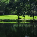 杭州西湖 - 杭州市旅游 缩略图 3