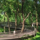 杭州西湖 - 杭州市旅游 缩略图 4