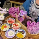 成都大熊猫繁育研究基地 - 成都市旅游 缩略图 2