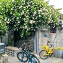 车辇店胡同 - 北京市旅游 缩略图 9