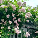 车辇店胡同 - 北京市旅游 缩略图 8