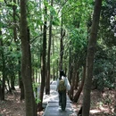 深圳北站-中心公园 - 深圳市旅游 缩略图 6