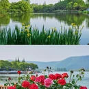 尚湖飞熊乐园 - 苏州市旅游 缩略图 2