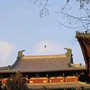 正定隆兴寺 - 石家庄市旅游 缩略图 2