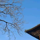 正定隆兴寺 - 石家庄市旅游 缩略图 4