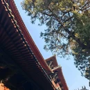 正定隆兴寺 - 石家庄市旅游 缩略图 5