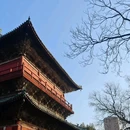 正定隆兴寺 - 石家庄市旅游 缩略图 8