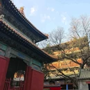 正定隆兴寺 - 石家庄市旅游 缩略图 7