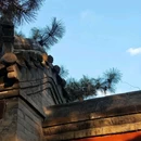 正定隆兴寺 - 石家庄市旅游 缩略图 6