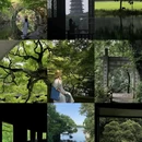 柳浪闻莺 - 杭州市旅游 缩略图 1