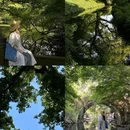 柳浪闻莺 - 杭州市旅游 缩略图 5