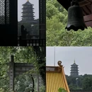 柳浪闻莺 - 杭州市旅游 缩略图 7