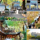 香积寺 - 杭州市旅游 缩略图 4