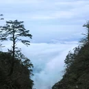 峨眉山旅游风景区 - 乐山市旅游 缩略图 6