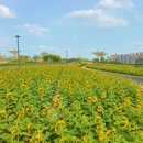 海贝公园 - 广州市旅游 缩略图 2