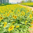 海贝公园 - 广州市旅游 缩略图 4