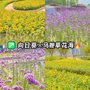 海贝公园 - 广州市旅游 缩略图 1