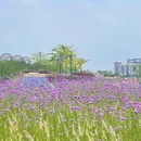 海贝公园 - 广州市旅游 缩略图 9