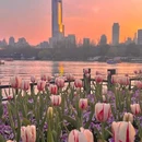 明孝陵景区 - 南京市旅游 缩略图 5