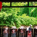 窑湾古镇 - 徐州市旅游 缩略图 5