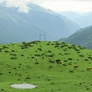 云中牧场 - 阿坝藏族羌族自治州旅游 缩略图 5