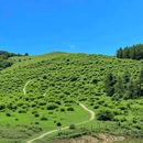 云中牧场 - 阿坝藏族羌族自治州旅游 缩略图 3