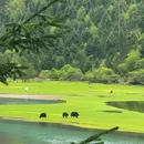 川西竹海景区 - 成都市旅游 缩略图 6