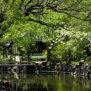 启园 - 苏州市旅游 缩略图 6