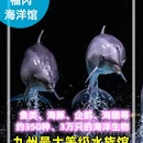 福冈 - 日本旅游 缩略图 1