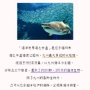 福冈 - 日本旅游 缩略图 3