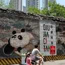 上海植物园 - 上海市旅游 缩略图 3